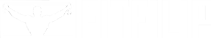 FITFILIP Logo