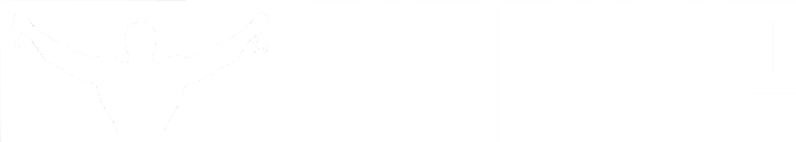 FITFILIP